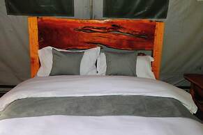 Tamarisk Ol Bolosaat