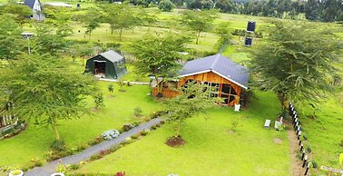 Tamarisk Ol Bolosaat