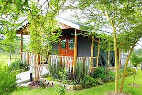 Tamarisk Ol Bolosaat