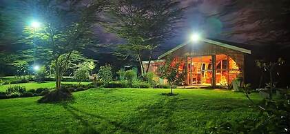 Tamarisk Ol Bolosaat