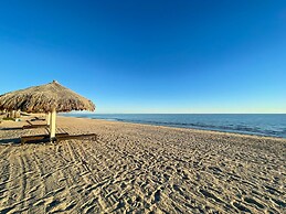 The Beachfront Oasis