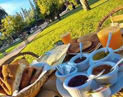 Les jardins de Marrakech