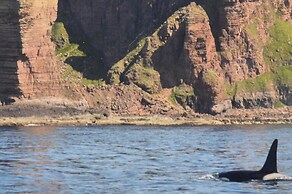 Withi-gill - Cottage - Bay of Ireland Views