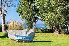 Sporting 1 64 by Wonderful Italy