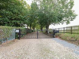 Pear Tree