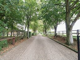 Pear Tree
