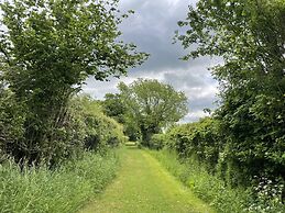 Beechwood