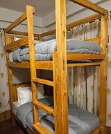 The Woods - Tirthan Valley