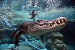 Zen Saltwater Retreat Balcony Pool Seaview