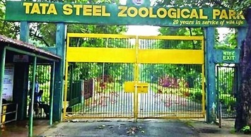 SAROVAR HILL HOTEL AND RESORT