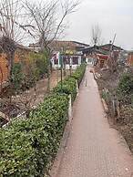 Hotel New Green view-apart