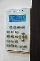 Athenian Petralona Suite