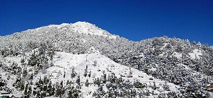 Kastura Cottages - Kanatal