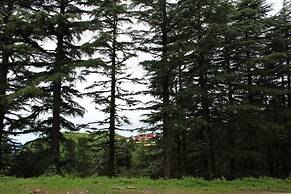 Kastura Cottages - Kanatal