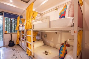 goSTOPS PLUS Gurugram Baani Square