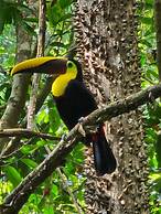 Hacienda Barú Lodge