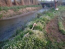 Vians Olympia Resort