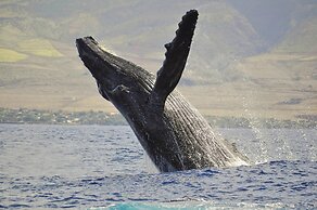 Hale Kalapu in Kaanapali