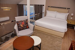 Lodges By Baron Hunza Attabad Lake