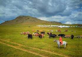 Mongol Nomadic Camp Resort