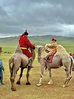Mongol Nomadic Camp Resort