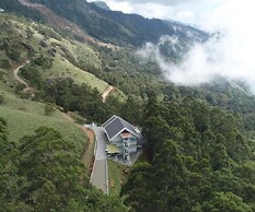 Winter Garden Resorts