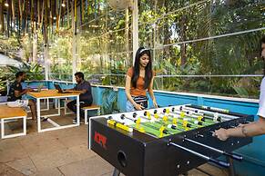 goSTOPS Lite Calangute