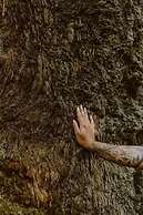 Villa Arapiuns - Amazon Lodge