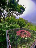 Delux Manvama Monteverde