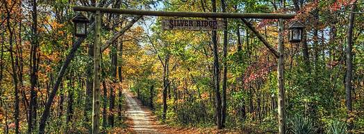 Silver Ridge