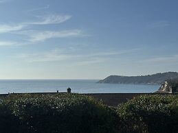 Blue Haze in Charlestown