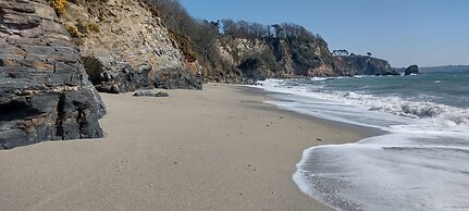 Blue Haze in Charlestown