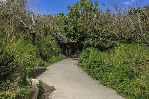 Blue Haze in Charlestown