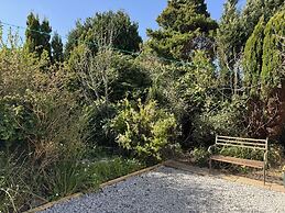 Blue Haze in Charlestown