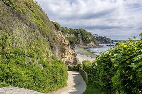 Blue Haze in Charlestown