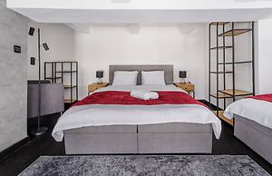 Airy loft-apartment with balcony