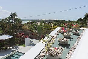 The View Pipa