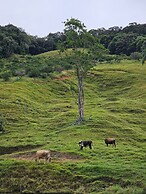 Refúgio da Montanha - Angelina - SC