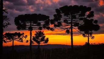 Refúgio da Montanha - Angelina - SC