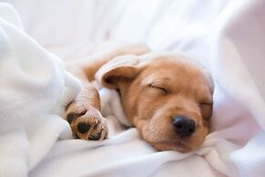 Studiores Fort Myers