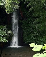 Lin an Hot Spring Story Family Homestay