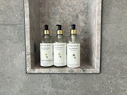 Wake UP IN SNOW MOUNTAIN