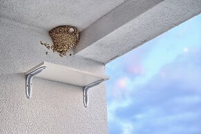 Liberty Living Apartments