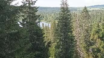 Views, Cross-country Skiing, Sauna, tub