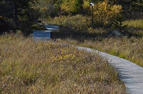Views, Cross-country Skiing, Sauna, tub