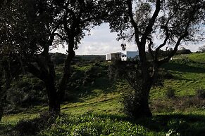 Monte das Casolas