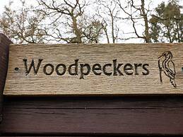 Woodpeckers