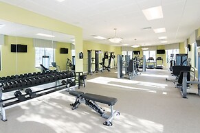 Disney Familly Lovers up to 11 Guests