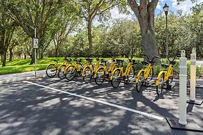 Harry Potter Themed 3 BR