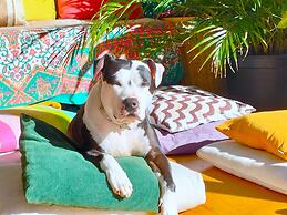 Zen Harmony House Sydney